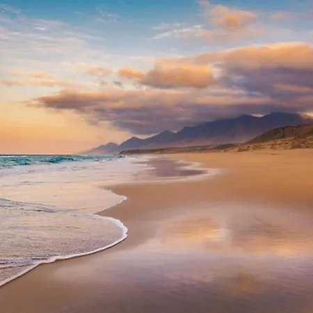 Yellow In Puerto del Rosario (Fuerteventura)