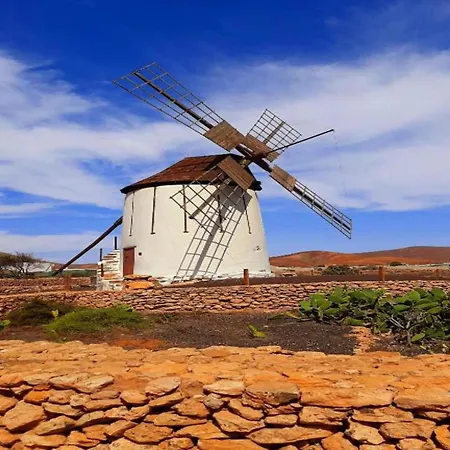 Yellow In Apartament *