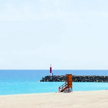 Yellow In Apartamento Puerto del Rosario (Fuerteventura)